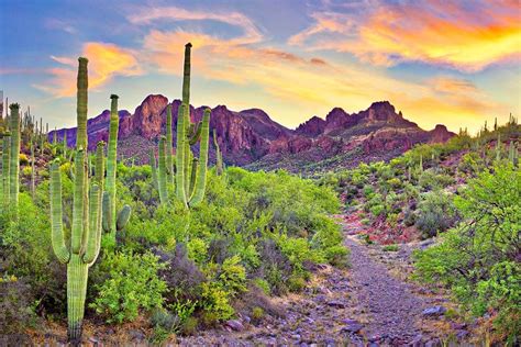 Phoenix Itinerary: Top Things You Absolutely Must Do.